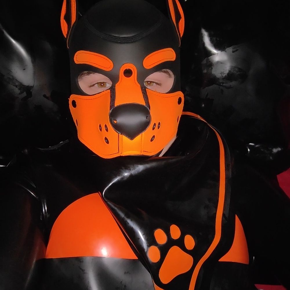 Pup Arrow
