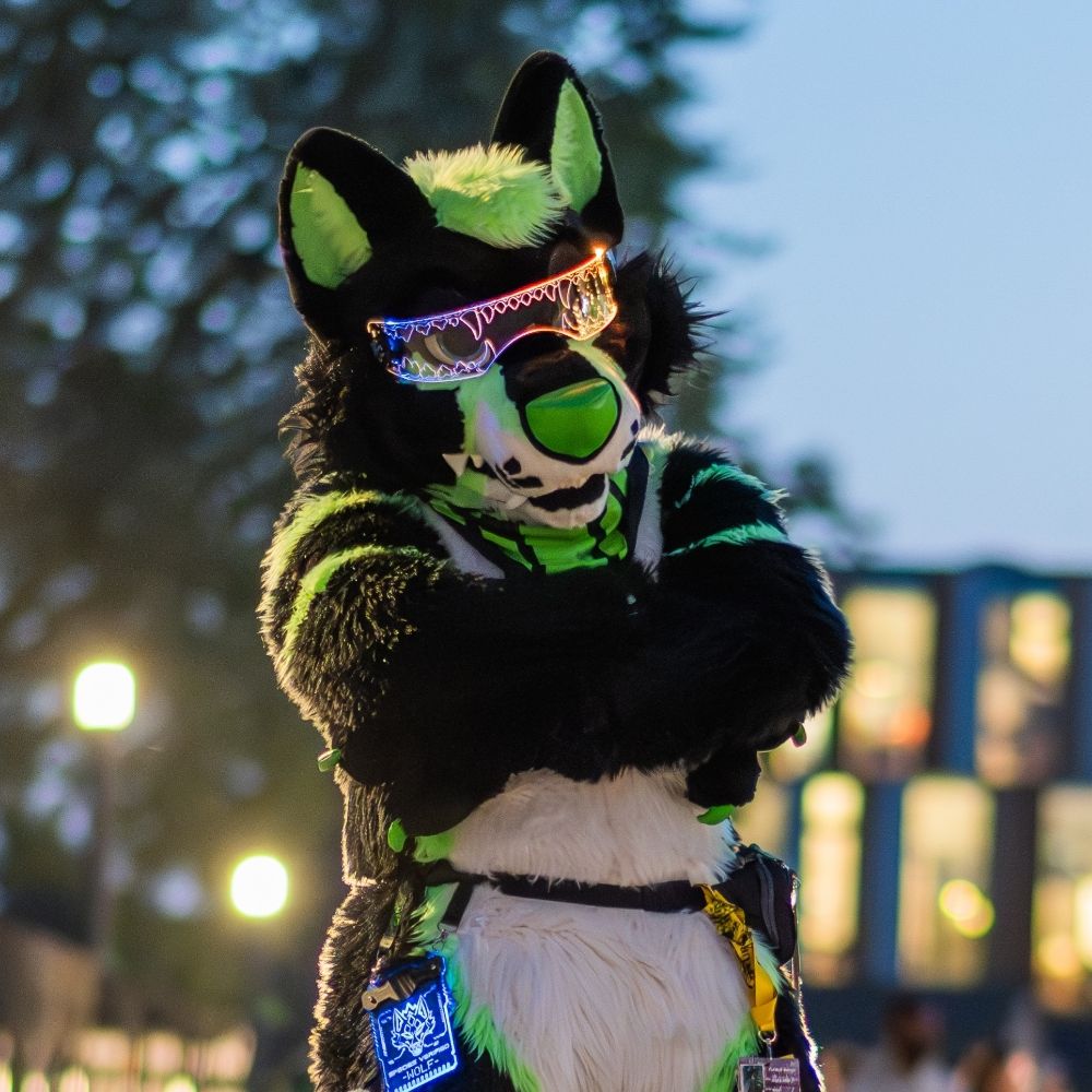Acera Wolf
