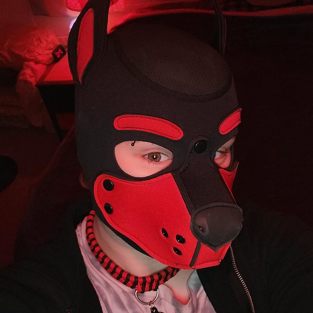 ChainedRedWolf~ ❤️🖤🏳️‍⚧️