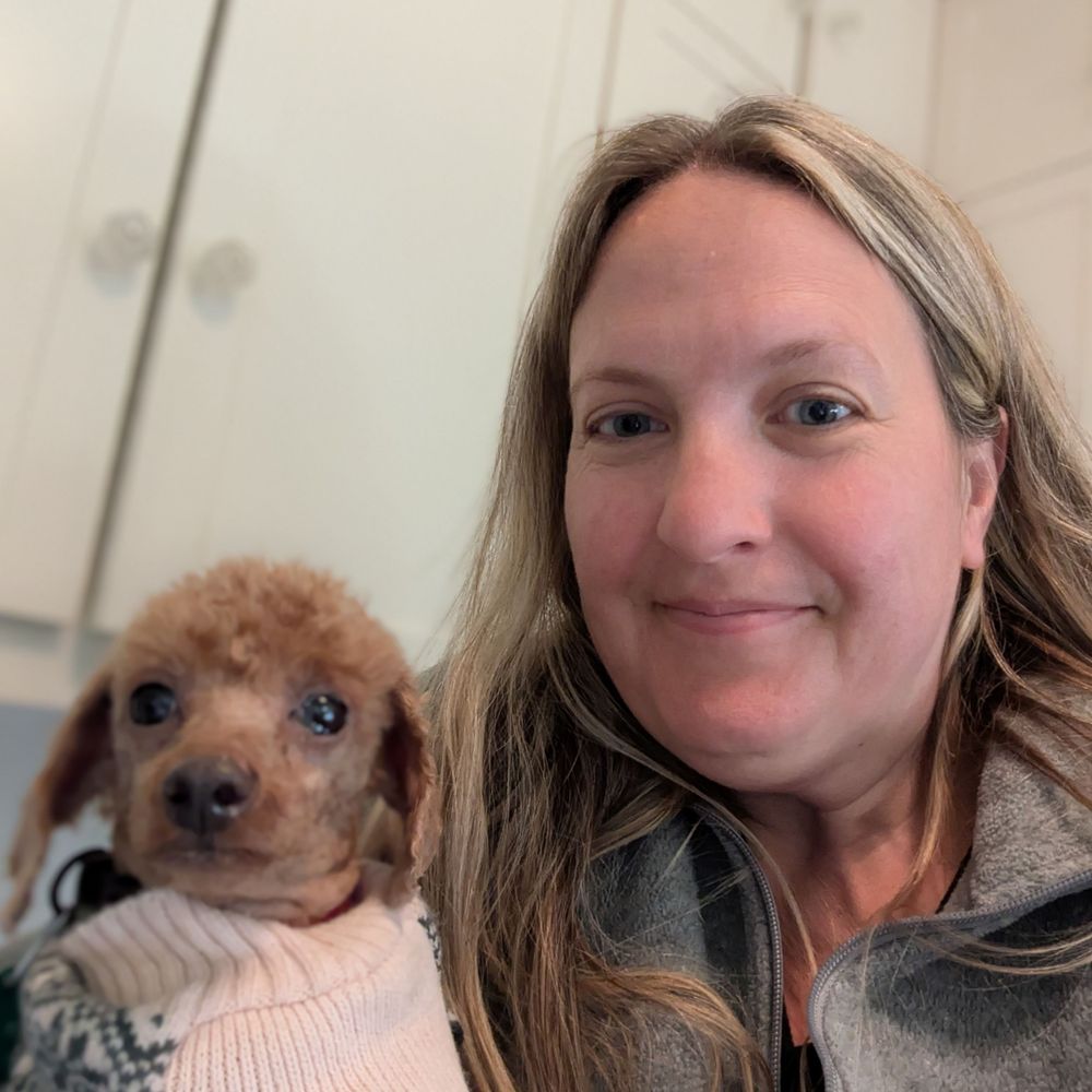 Megan Ball Saves Dogs