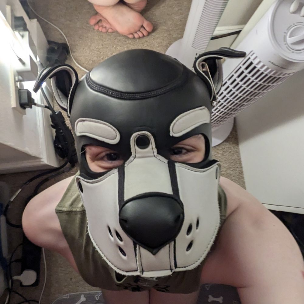 Bit 🔥 🔜 Pawsome!