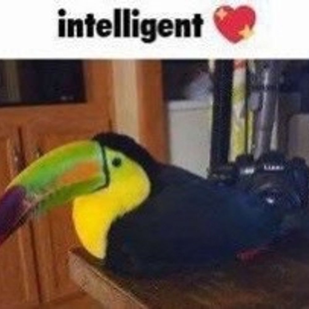 El Kevino