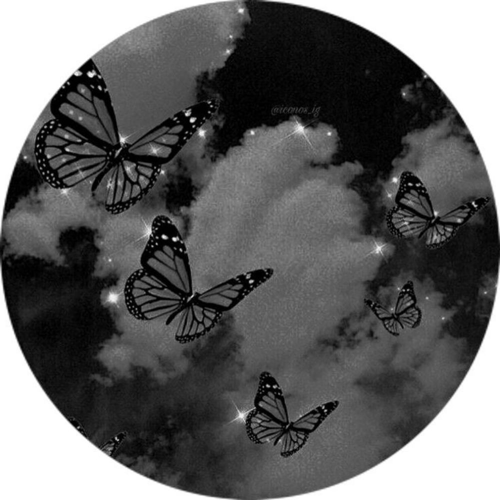 Konai🦋