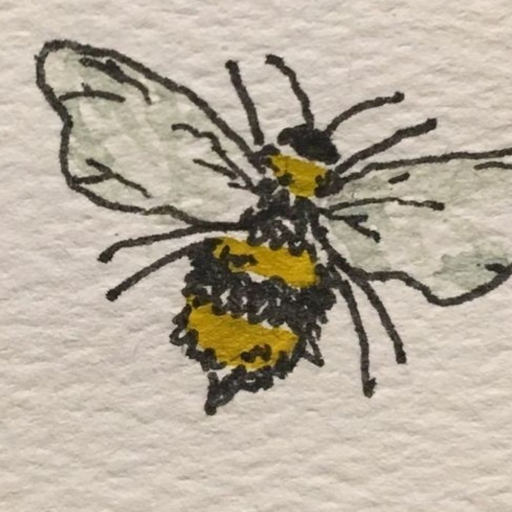 ⭐🐝💫