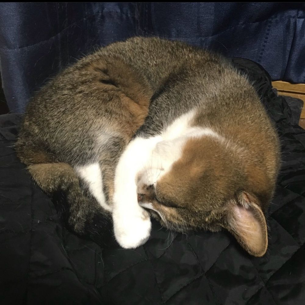 零ちゃん