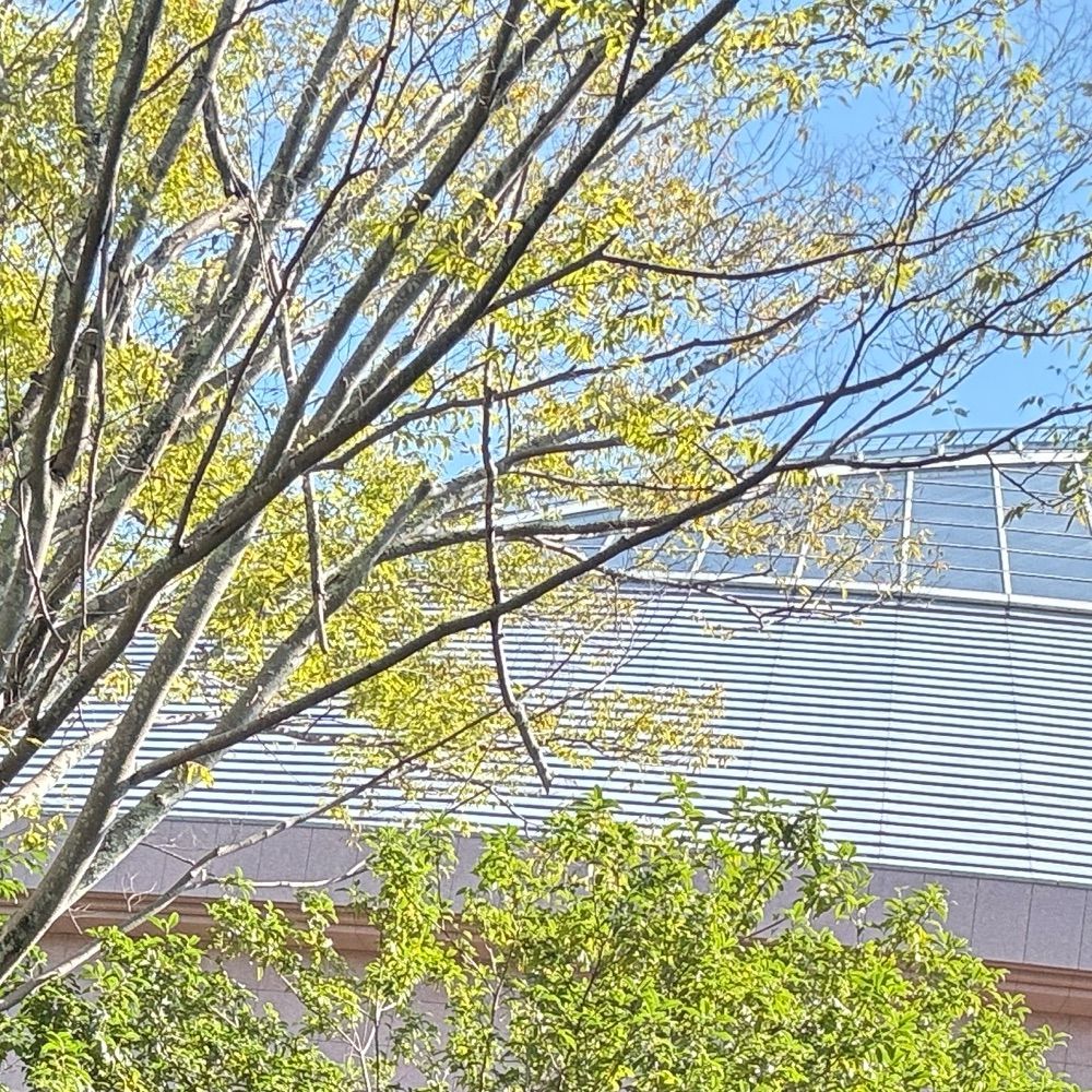 さな