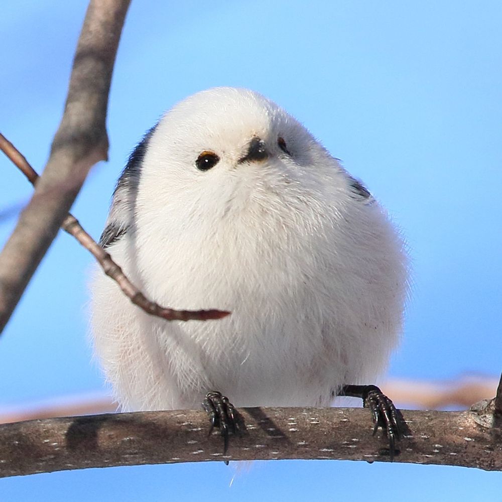 아덴