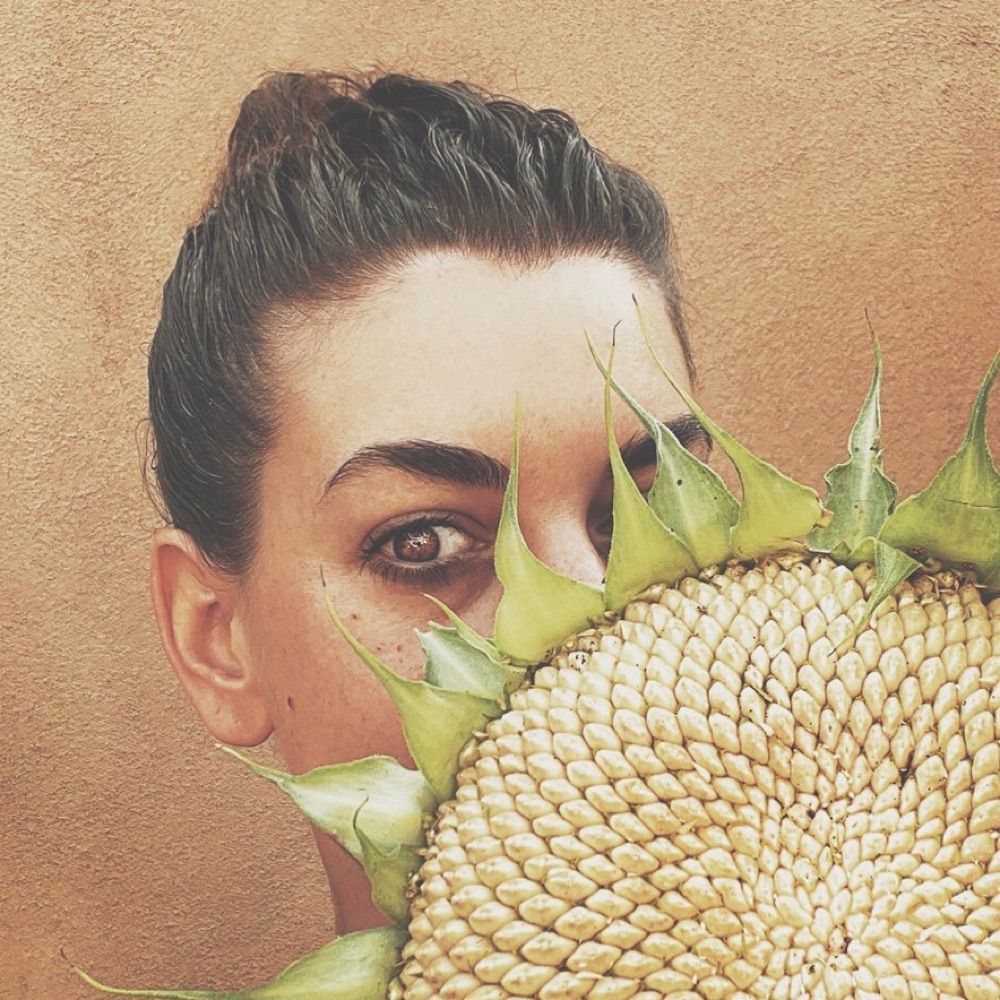 Katie Rodgers