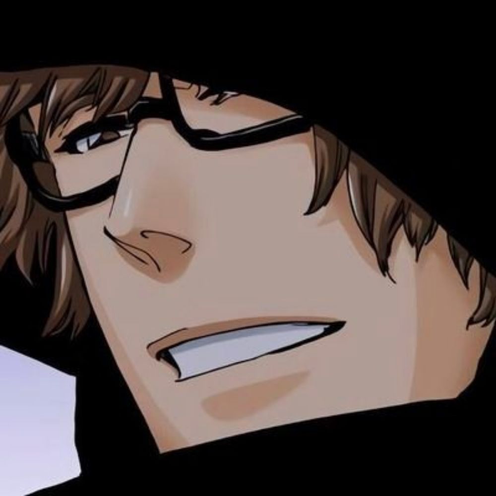 Aizen Apologist