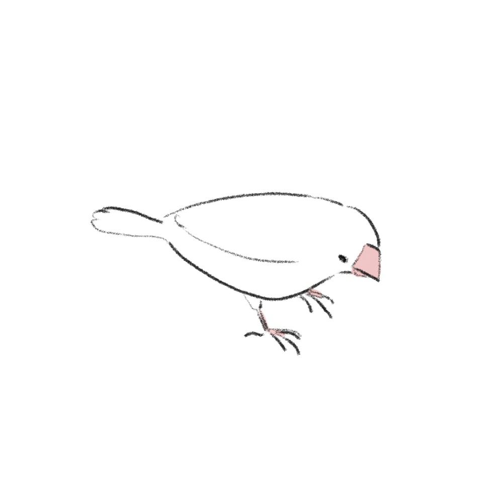 余白