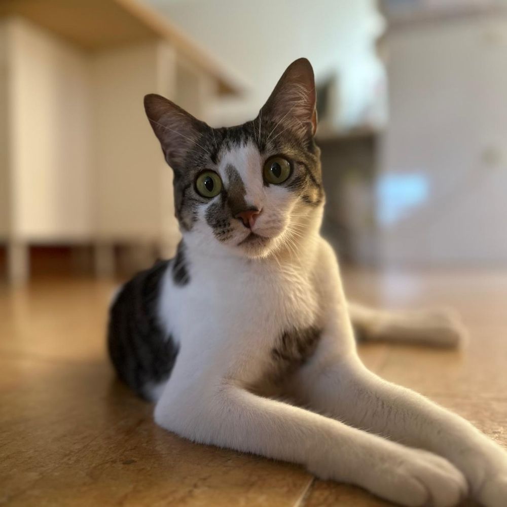 Roberto