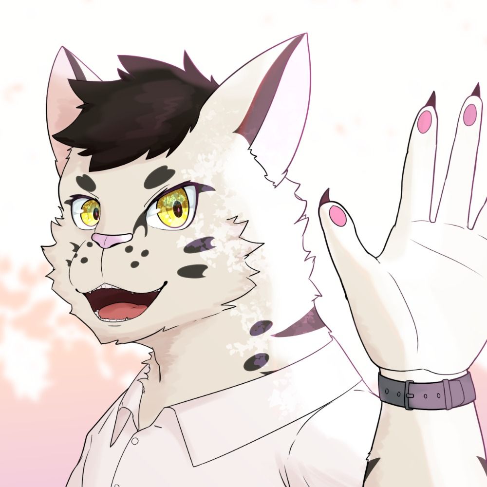 Medikitty