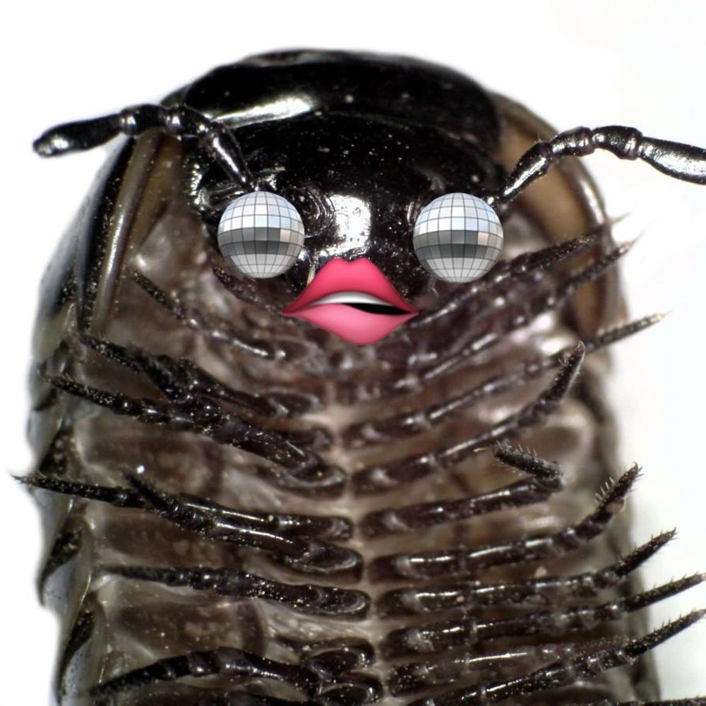 Glup Shitto