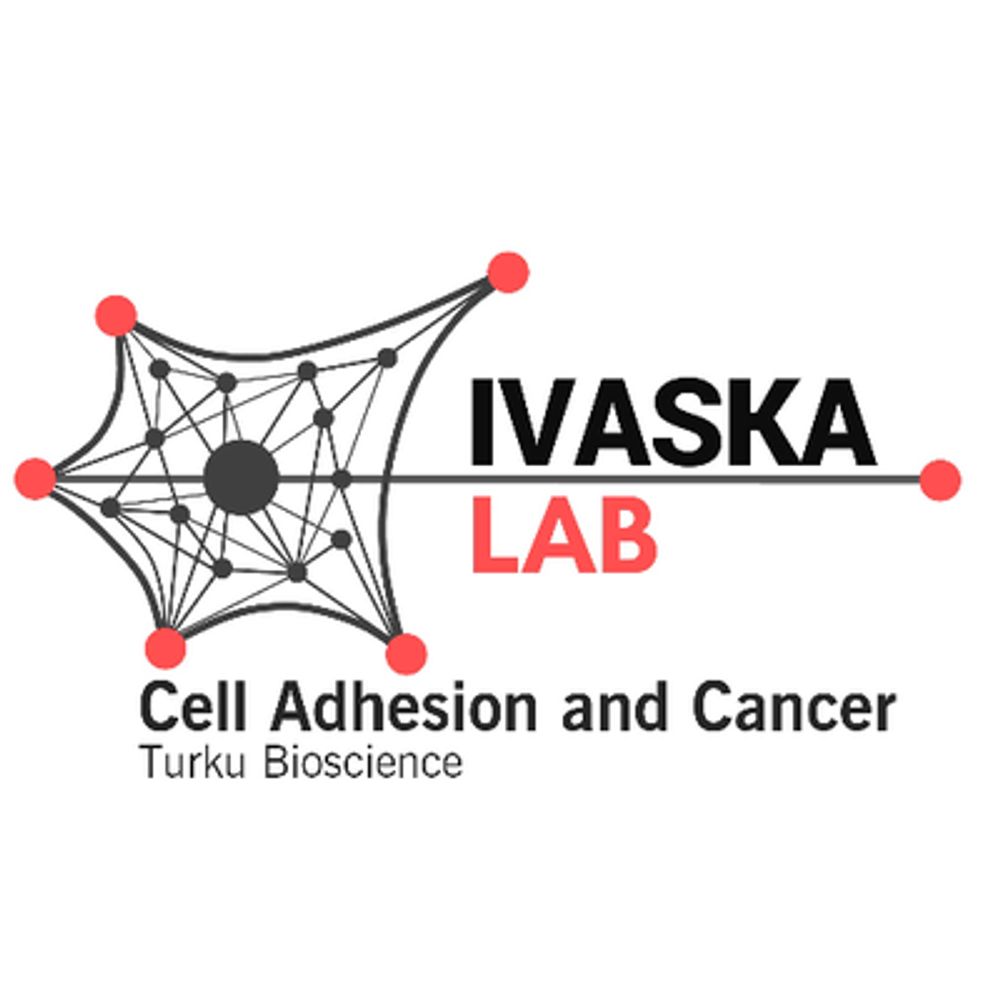 Ivaska Lab