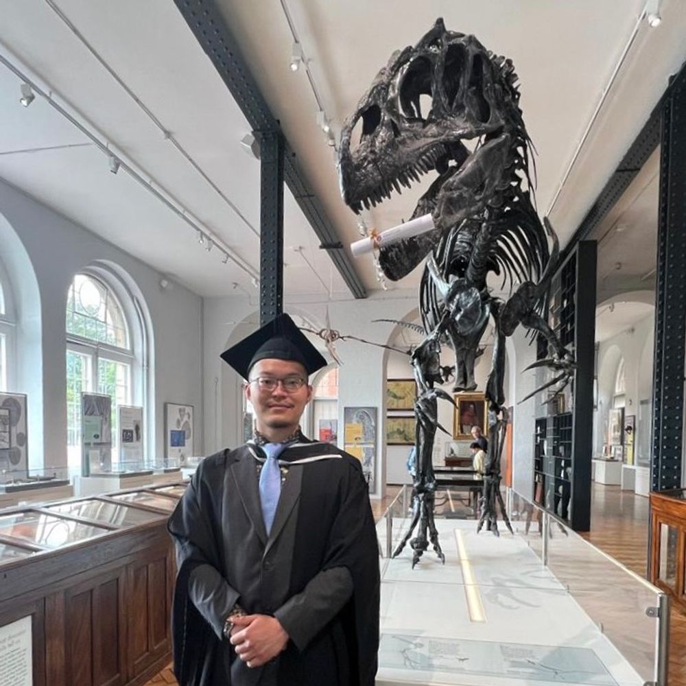 Dino Chu