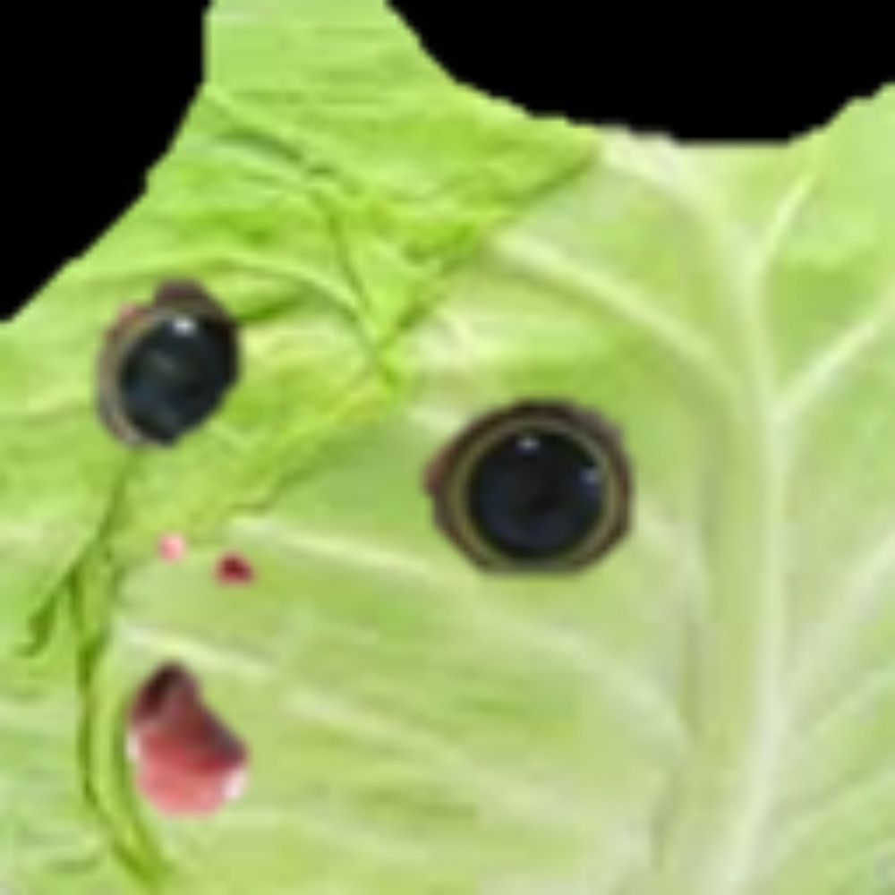 CABBAGE CAT