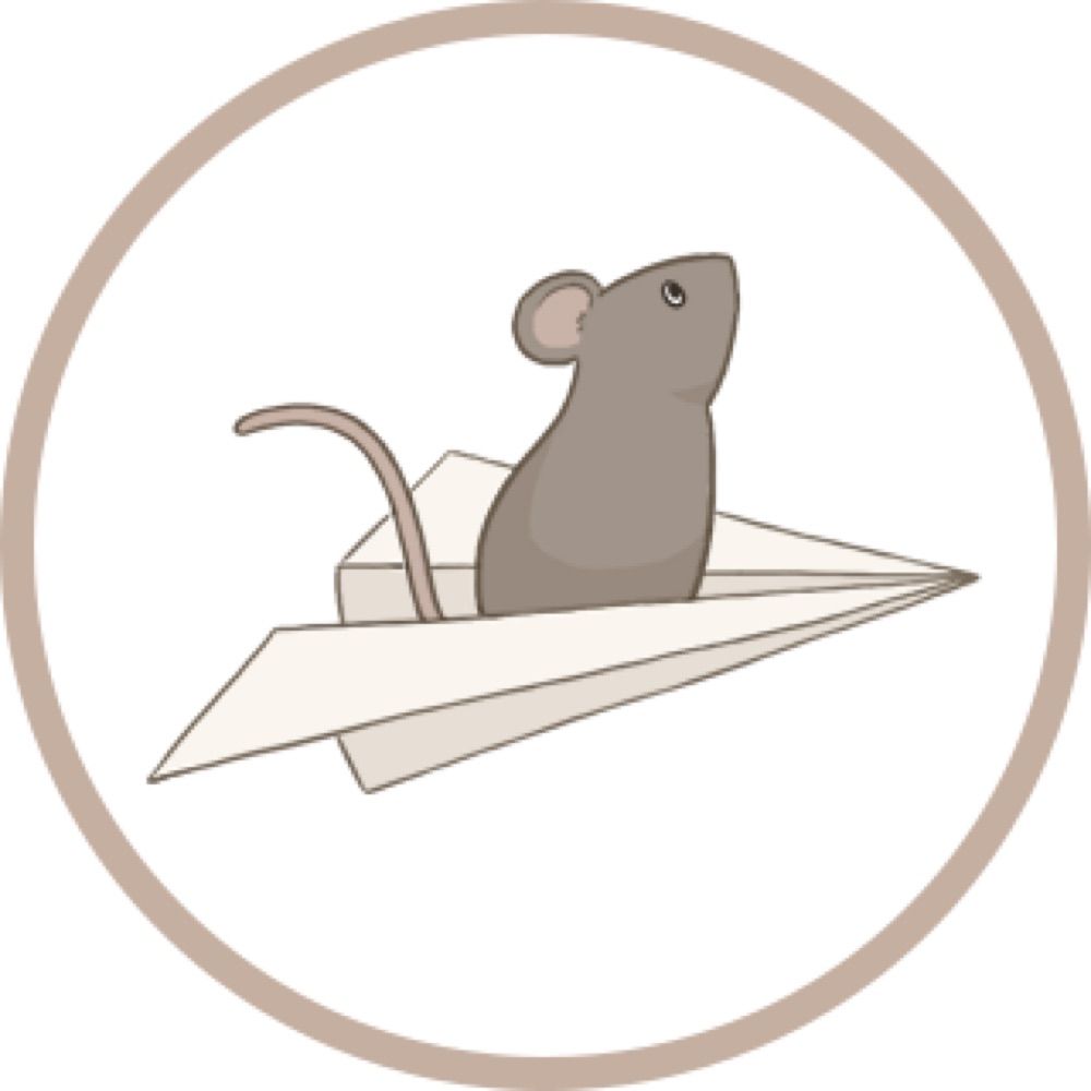 The Paper Mouse