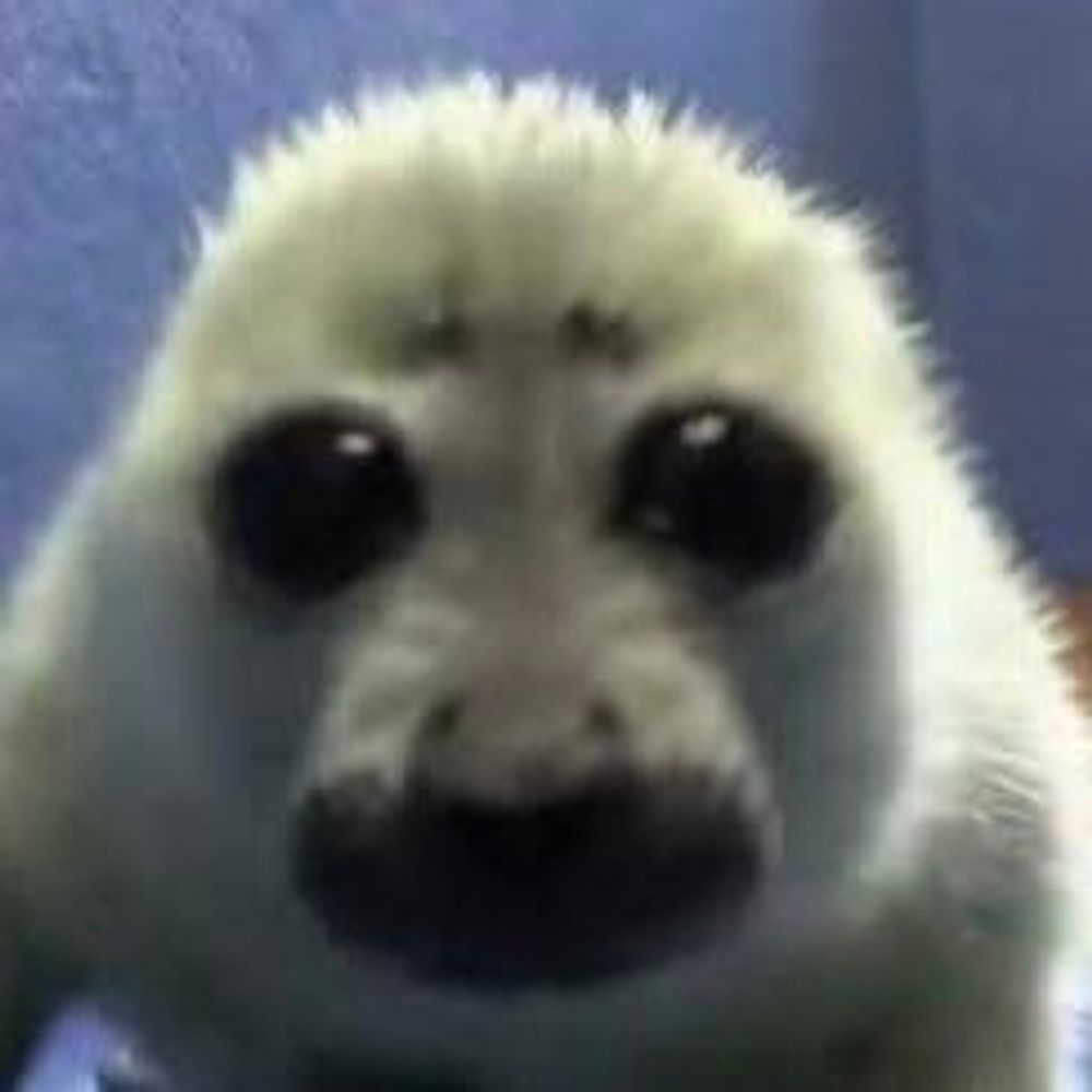 mica!! 