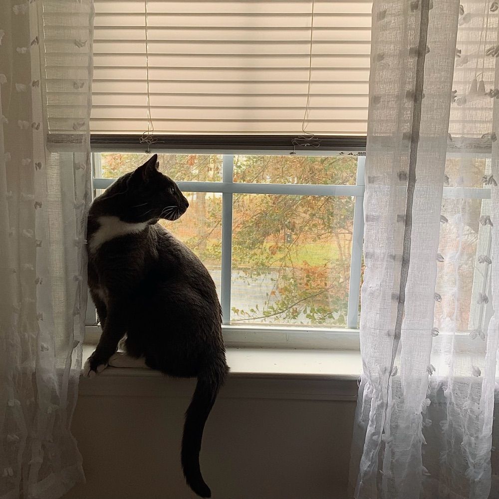 Bri 🍂