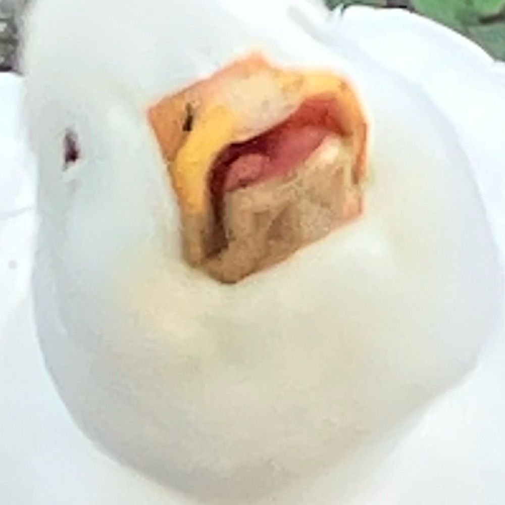 もじ