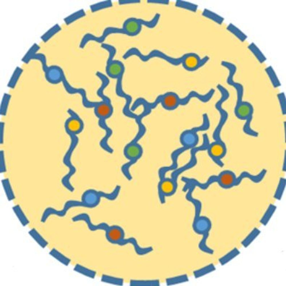 Aldea-Gallego Lab