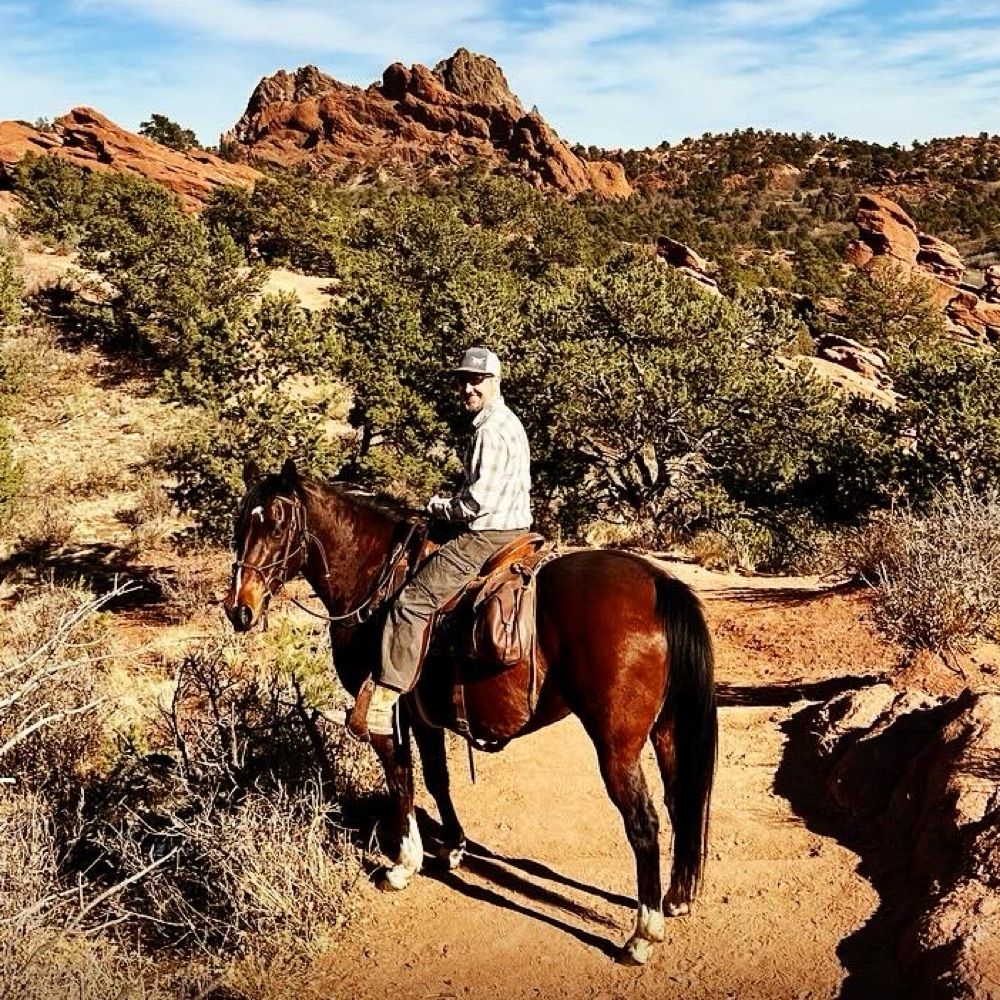 DivineEquitation