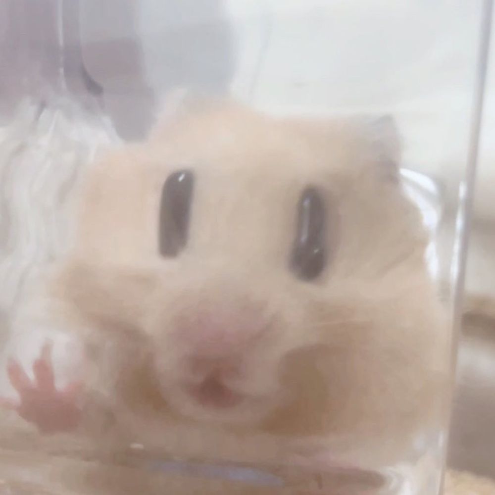 森