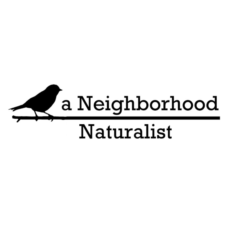a Neighborhood Naturalist's avatar