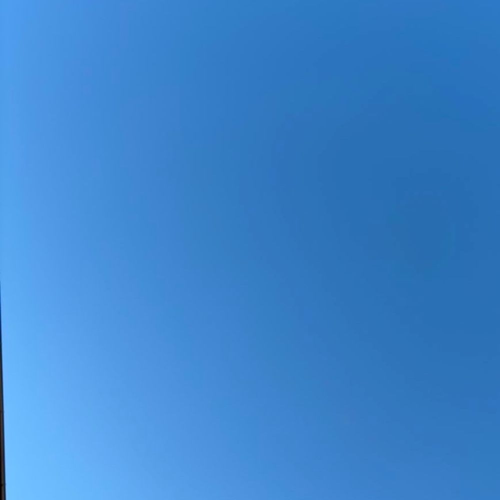 ミュウ