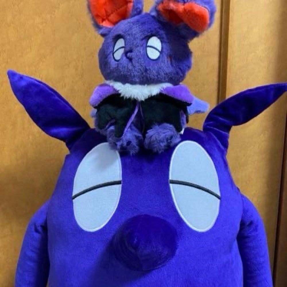mocci