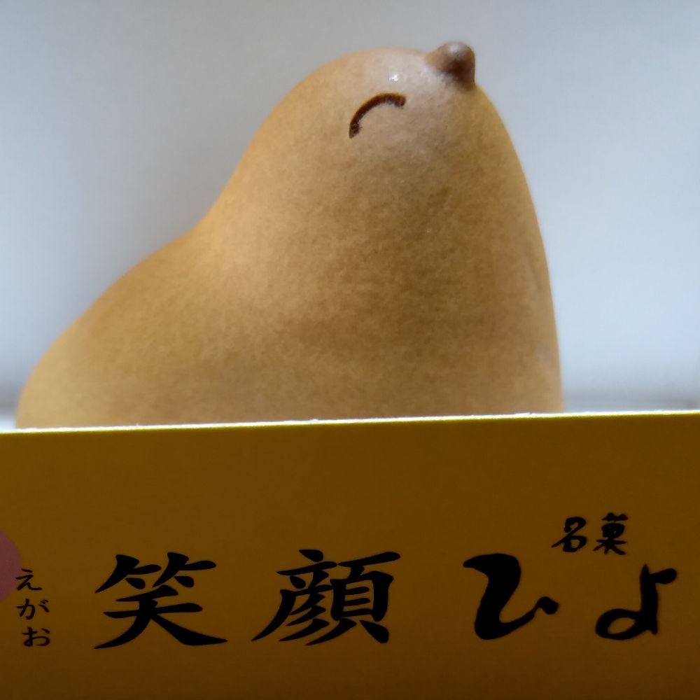 九重かんこどり