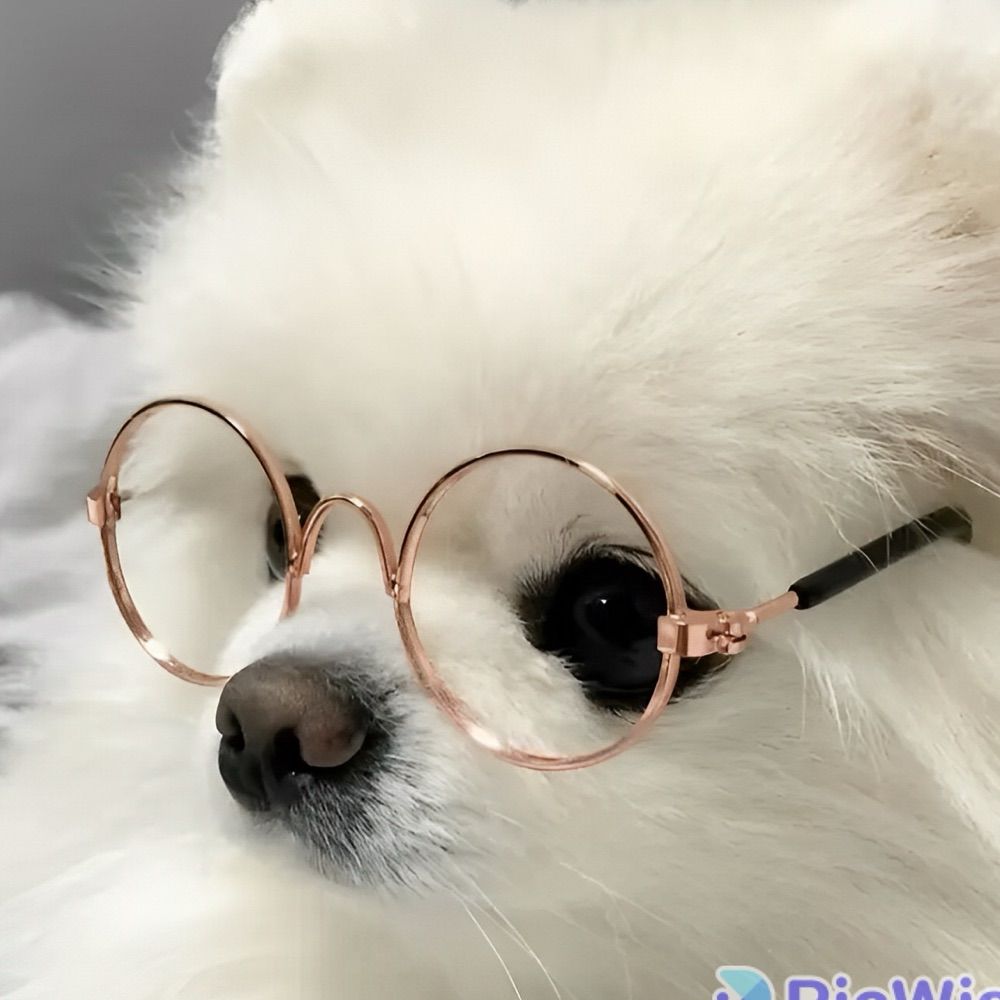 。