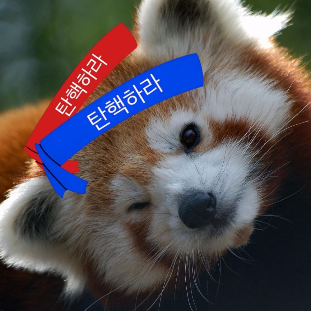 플라타🖋