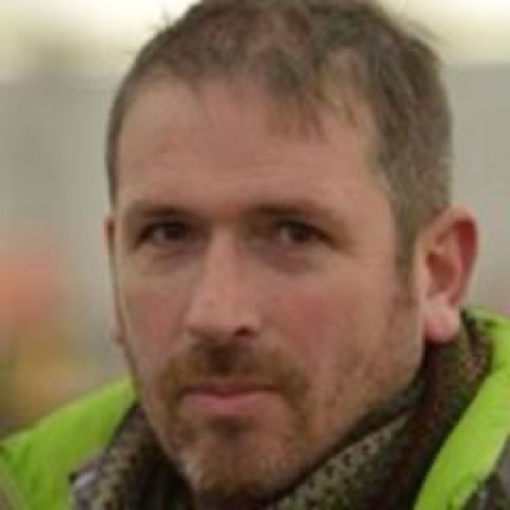 David Gibson