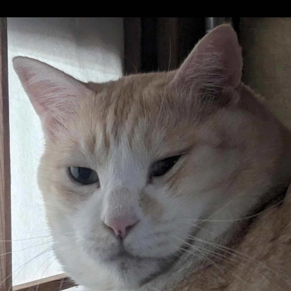 優ハピ