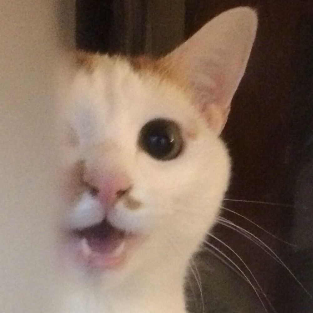 からあげ