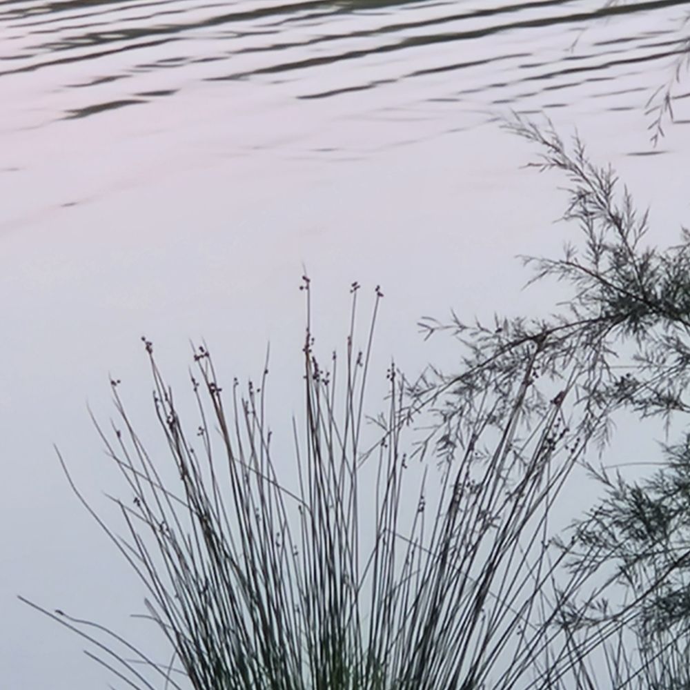 Permanence de Floues