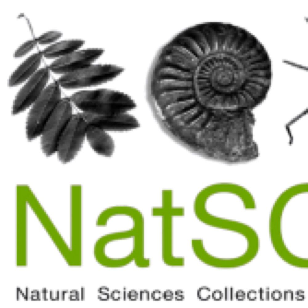 NatSCA