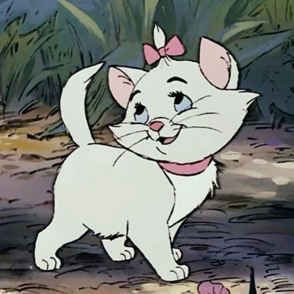Kittie🩷•edsky