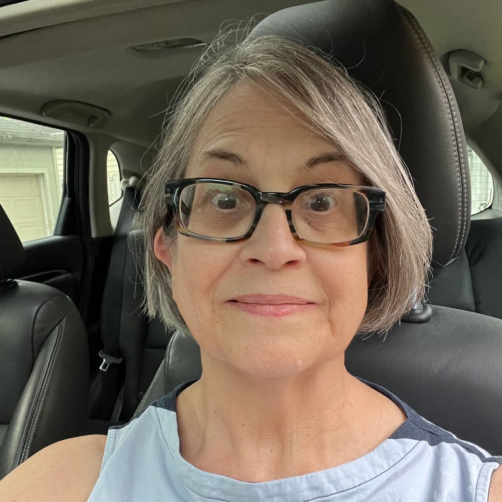 lwiseblau.bsky.social profile picture