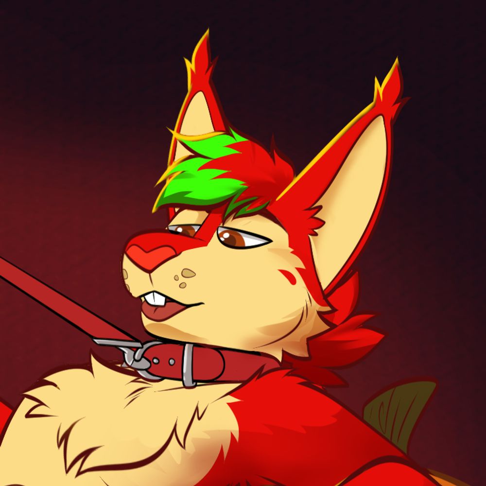 Gay Squirrel on the Internet