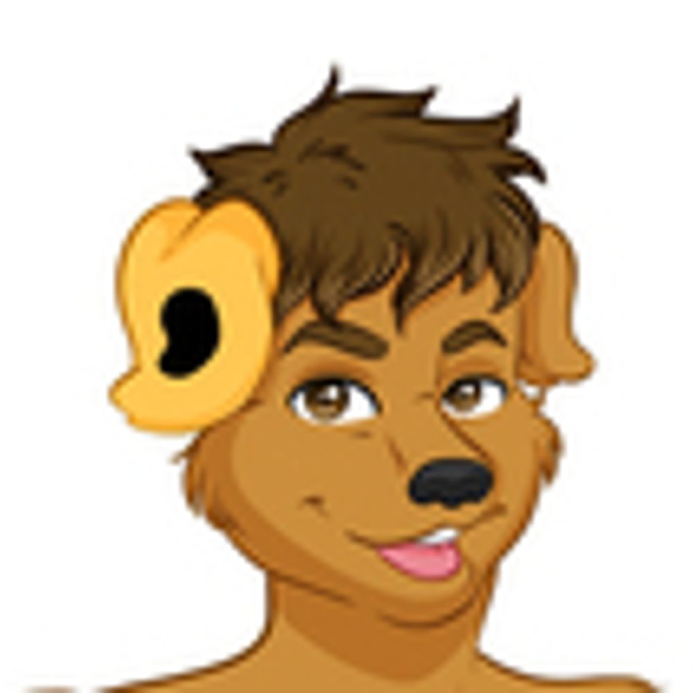 JReq the K9