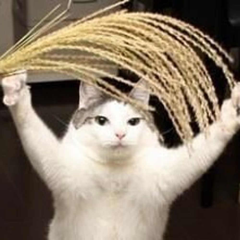 おるふぇうす
