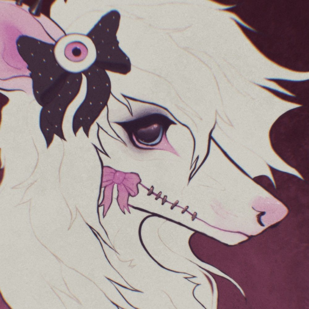 𝖉𝖔𝖑𝖑𝖞 ♡