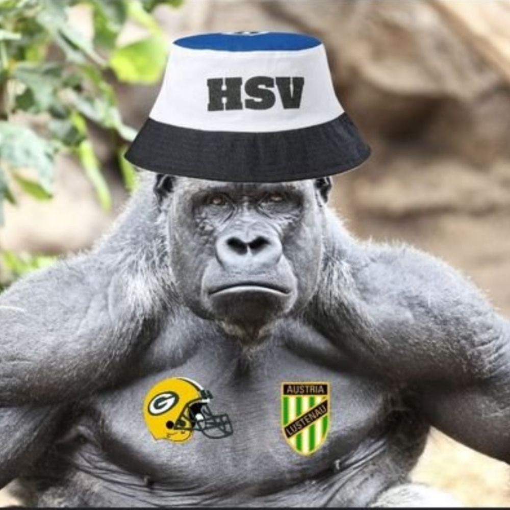 Lord Cheesehead HSV