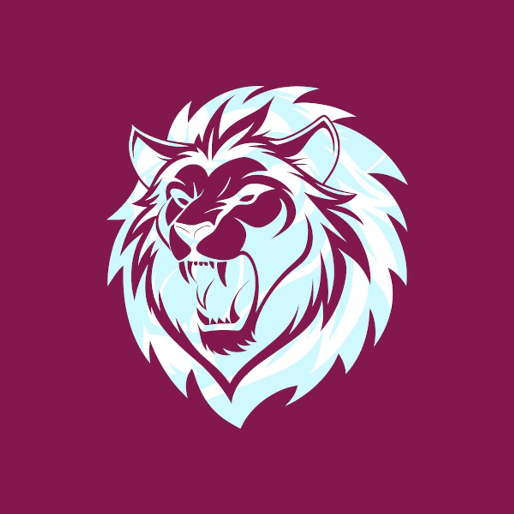 Aston Villa Review