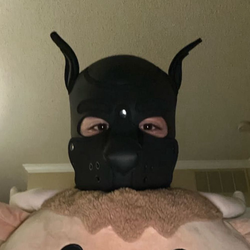 Pup Z