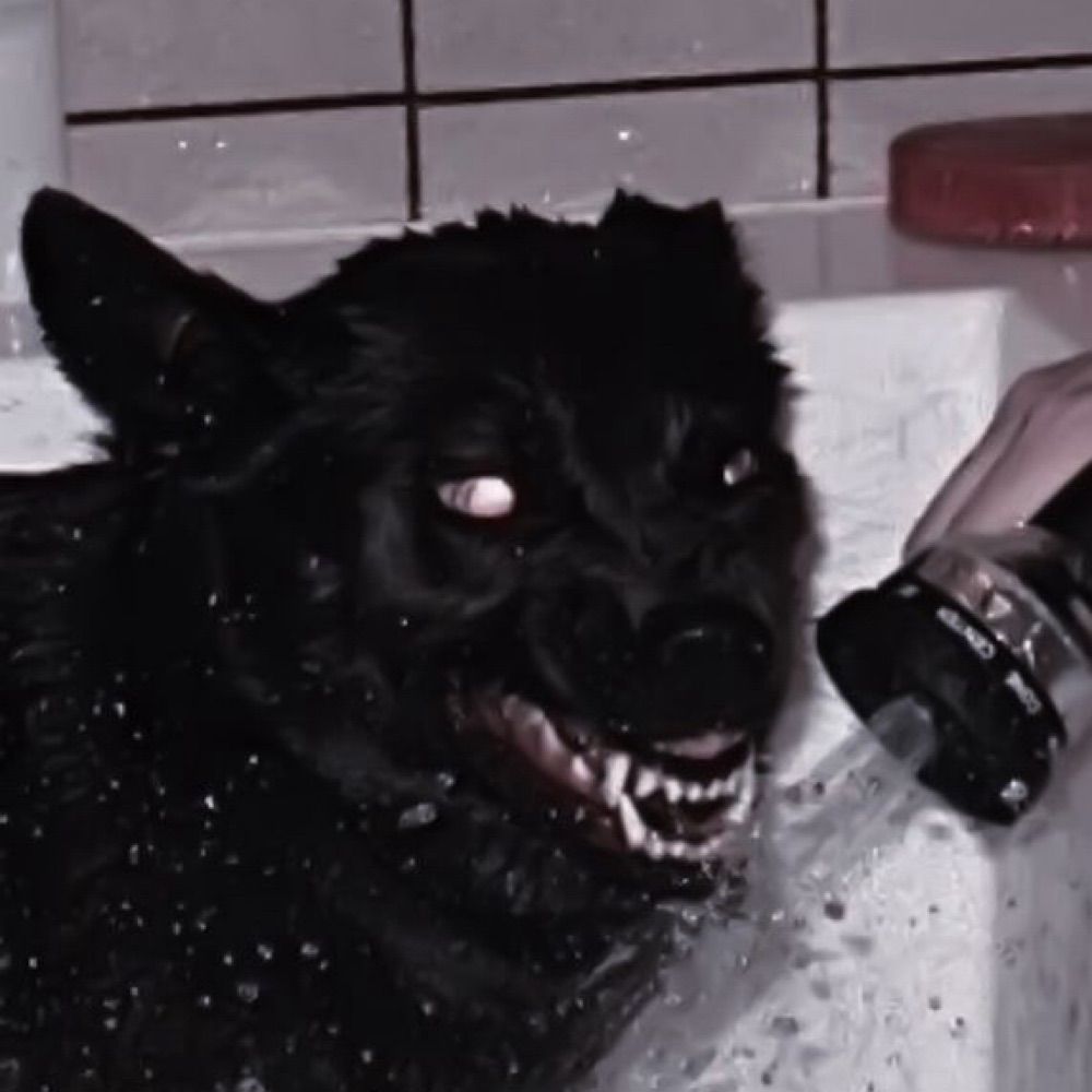 𝕲𝖍𝖔𝖘𝖙