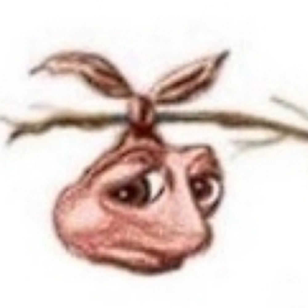 ceci