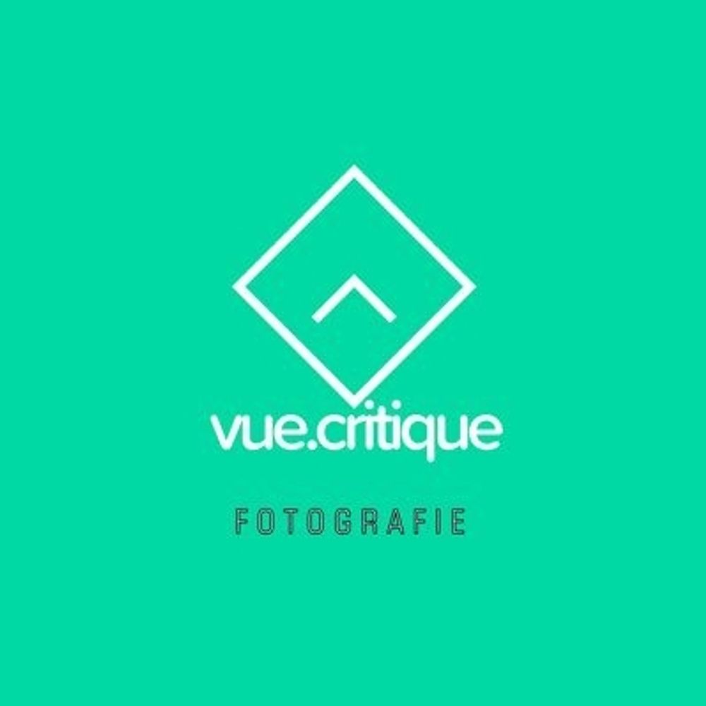 Vue Critique 